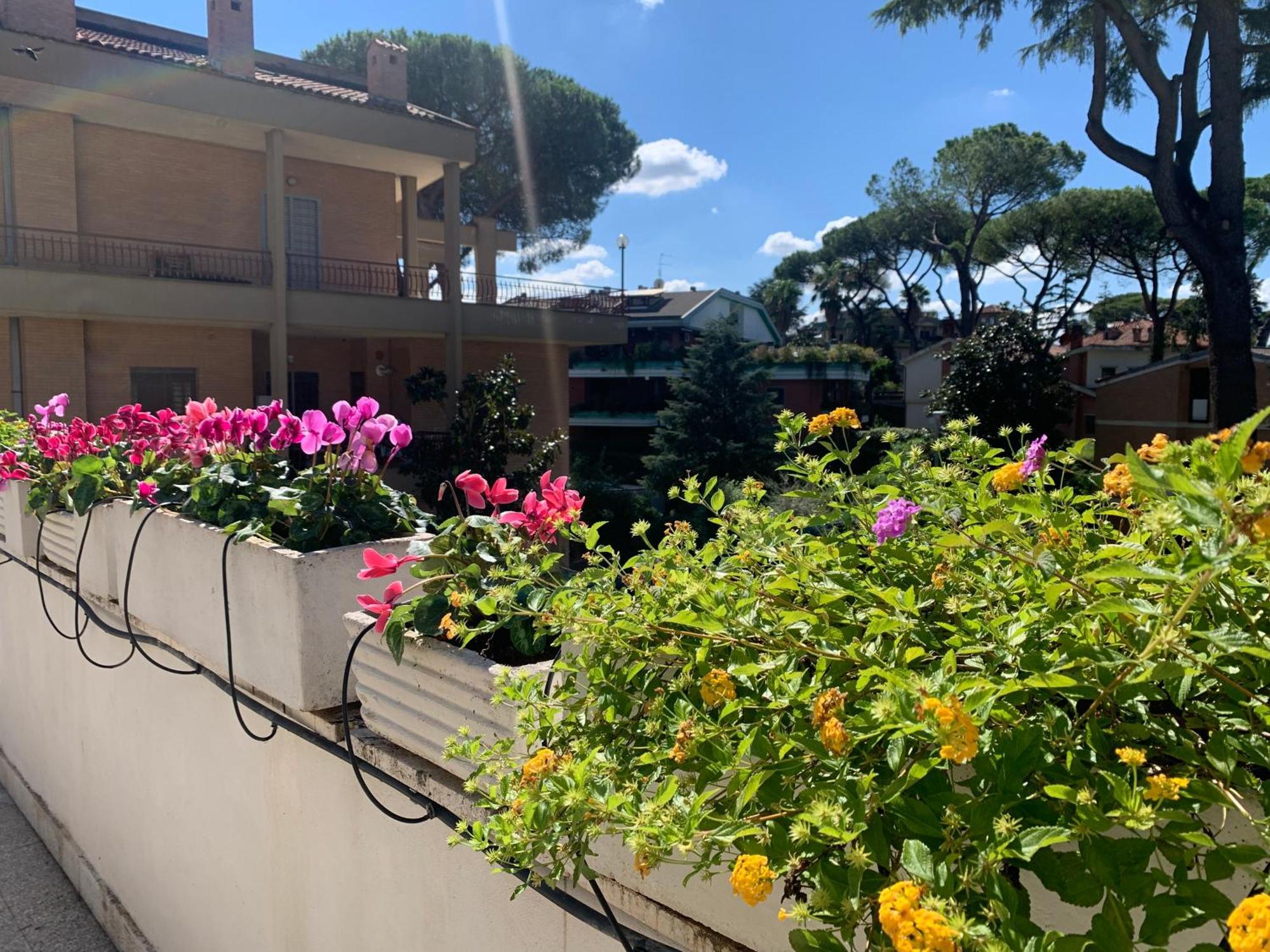 Villa Orsini — Foto 1